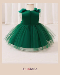 Green Net Chiffon Dress