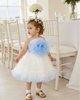 Baby Girls 3D White and Blue Flower Decor Strap Double Layer Tulle Dress