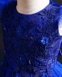 Girls’ Long Blue Embroidered Princess Wedding Dress