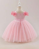 Baby Girls’ Pink Embroidered Satin Princess Dress