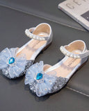 Fancy Girls Blue Princess Shoes