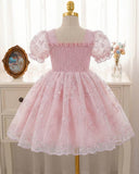 Baby Pink Embroidered Puff Sleeve Tulle Dress for Girls