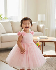 Baby Girls’ Pink Embroidered Satin Princess Dress