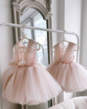 Baby Girls Pink Sequin Flower Mesh Party Princess Gown