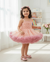 Pink Baby Girl Luxurious Ballet Sleeveless Party Dress – Spring / Summer