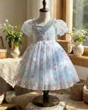 Sky Blue Puff Sleeve Formal Party Tulle Dress with Cinched Waist