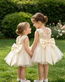 Baby Girls Apricot Satin & Mesh Princess Dress with 3D Flowers