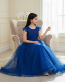 Girls’ Long Blue Embroidered Princess Wedding Dress