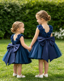 Baby Girls Blue Satin & Mesh Princess Dress with 3D Flowers