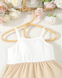 Baby Girl Brown Colorblock Dress