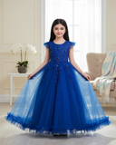 Girls’ Long Blue Embroidered Princess Wedding Dress