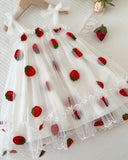 Baby Girl Strawberry Embroidered Mesh Strap Dress