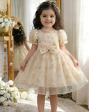 Baby Girl Apricot Mesh Floral Puff Sleeve Princess Dress