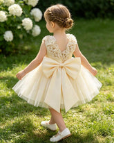 Baby Girls Apricot Satin & Mesh Princess Dress with 3D Flowers