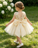 Baby Girls Apricot Satin & Mesh Princess Dress with 3D Flowers