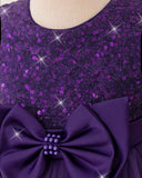 Young Girls Purple Elegant Sequin Bow Mesh Princess