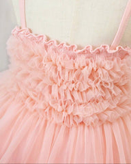 Pink Baby Girl Luxurious Ballet Sleeveless Party Dress – Spring / Summer