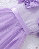 Young Girls Purple Cap Sleeve Mesh Dress