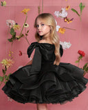 Girls Elegant Mesh and Silk Princess Dresses