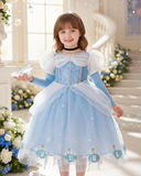 Girls Blue Cinderella Dress