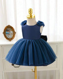 Baby Girls Blue Satin & Mesh Princess Dress with 3D Flowers