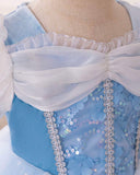 Girls Blue Cinderella Dress