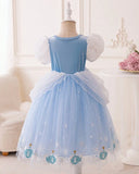 Girls Blue Cinderella Dress