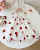 Baby Girl Strawberry Embroidered Mesh Strap Dress