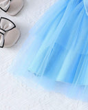 Girls Baby Blue Floral Embroidery Top & Tulle Skirt 2-Piece Set