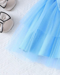 Girls Baby Blue Floral Embroidery Top & Tulle Skirt 2-Piece Set