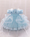 Girls Ice Blue Sequin Mesh Tutu Princess Dress