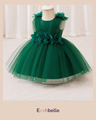 Green Net Chiffon Dress