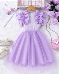 Young Girls Purple Cap Sleeve Mesh Dress