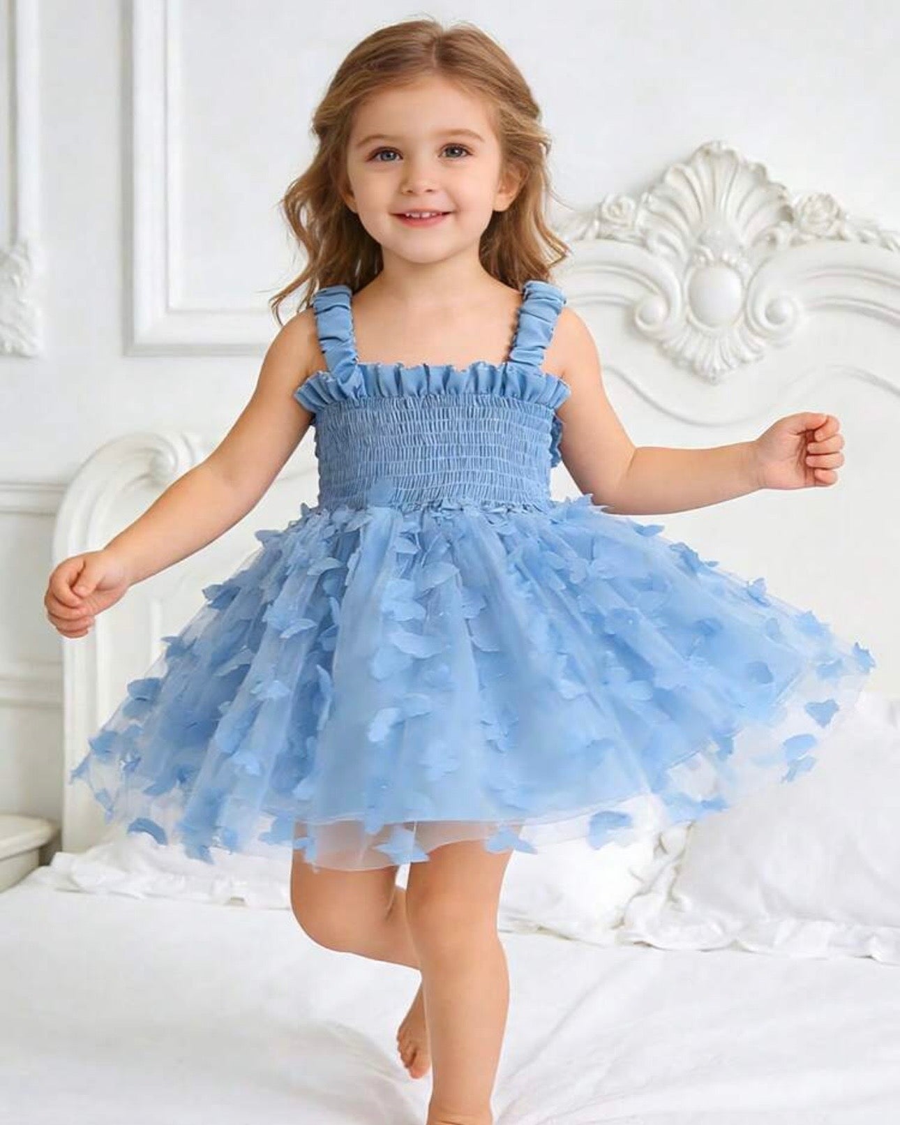 1pc Blue Princess Butterfly Embroidered Mesh Tulle Dress