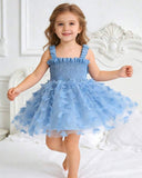 1pc Blue Princess Butterfly Embroidered Mesh Tulle Dress