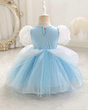 Baby Girls Blue Cinderella Dress