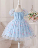 Sky Blue Puff Sleeve Formal Party Tulle Dress with Cinched Waist