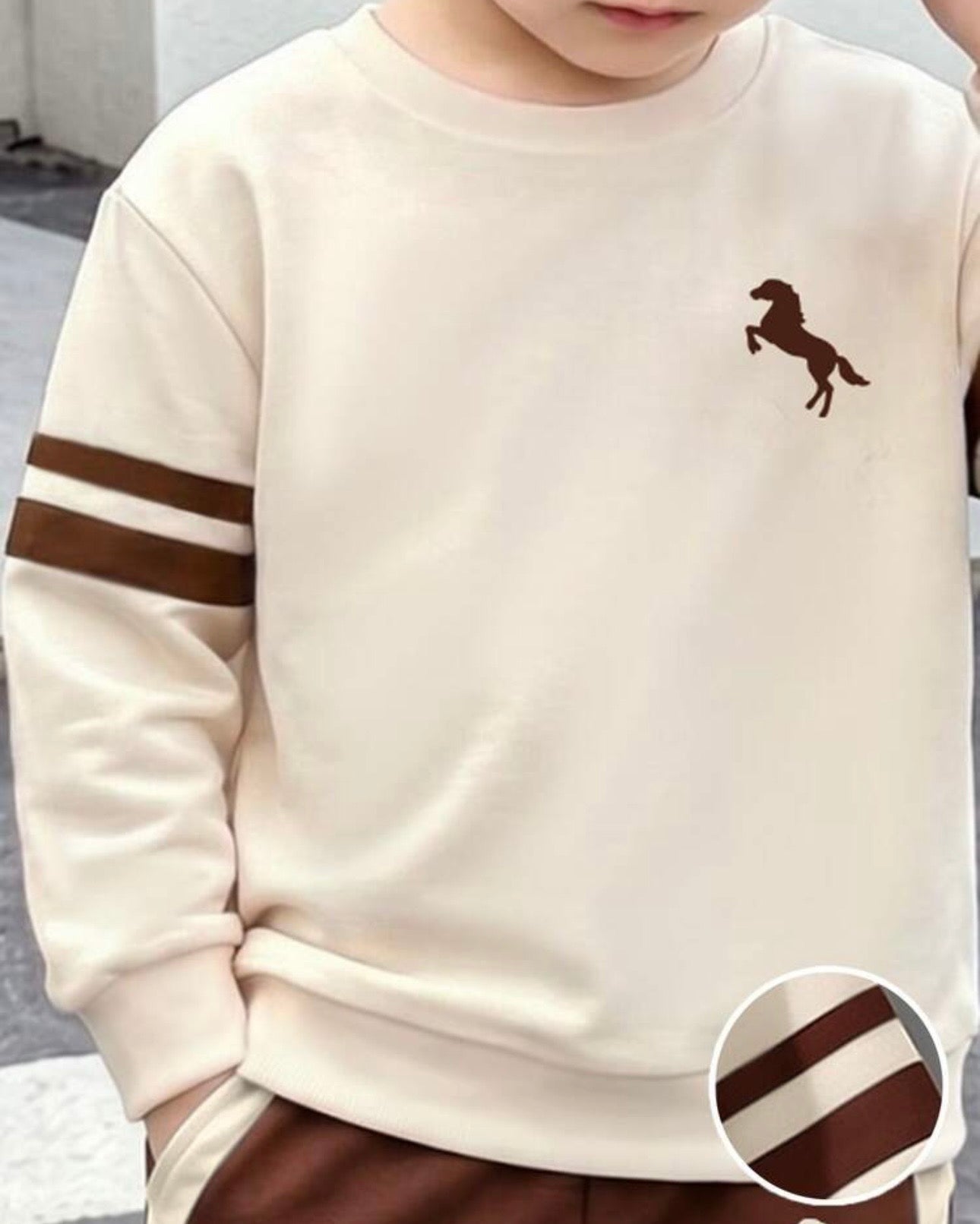 Boys Beige and Brown Long Sleeve Colorblock 2 Pieces set