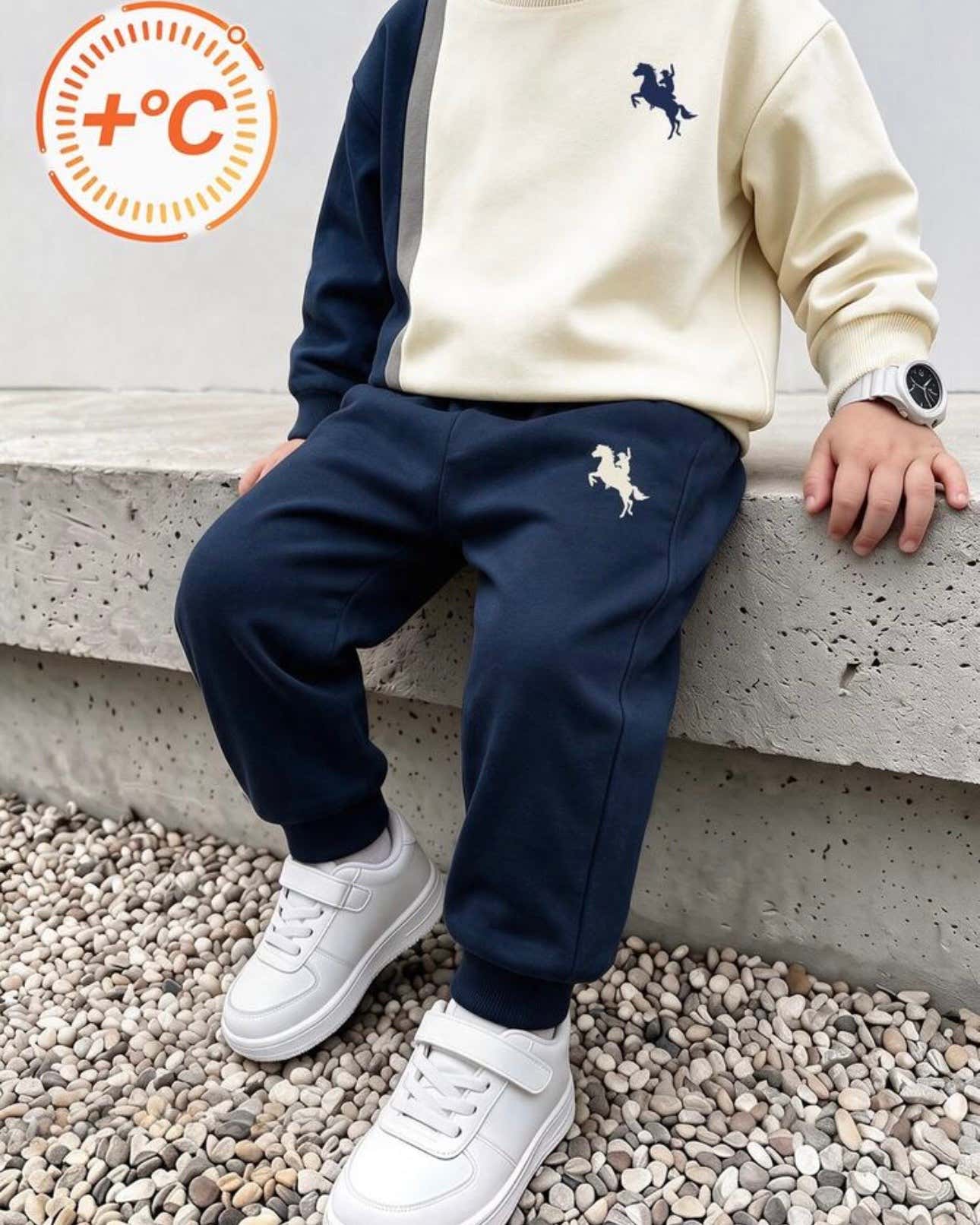 Young Boys  Beige & Blue Long Sleeve Colorblock 2 Pieces set