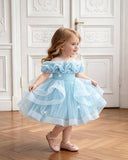 Girls Ice Blue Sequin Mesh Tutu Princess Dress