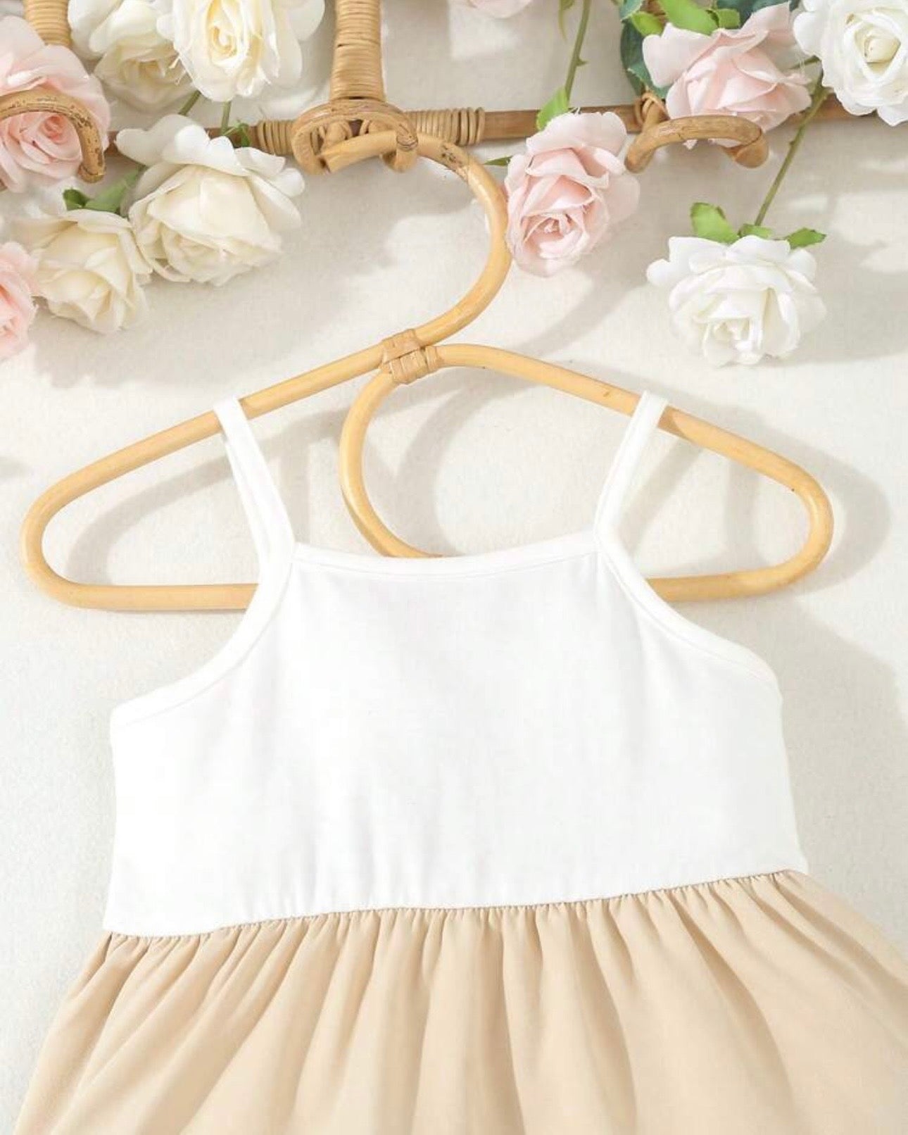 Baby Girl Brown Colorblock Dress