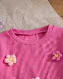 Girls Pink 3D Floral Decor Round Neck Long Sleeve Sweatshirt And Pants Set