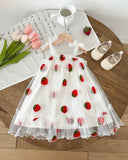 Baby Girl Strawberry Embroidered Mesh Strap Dress