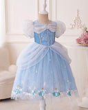 Girls Blue Cinderella Dress