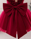 Baby Girls Red Satin & Mesh Princess Dress With 3D Flowers