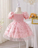 Baby Girl Pink Mesh Floral Puff Sleeve Princess Dress