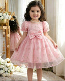 Baby Girl Pink Mesh Floral Puff Sleeve Princess Dress