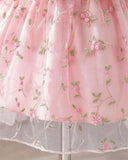 Baby Girl Pink Mesh Floral Puff Sleeve Princess Dress