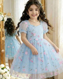 Sky Blue Puff Sleeve Formal Party Tulle Dress with Cinched Waist