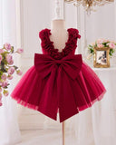 Baby Girls Red Satin & Mesh Princess Dress With 3D Flowers